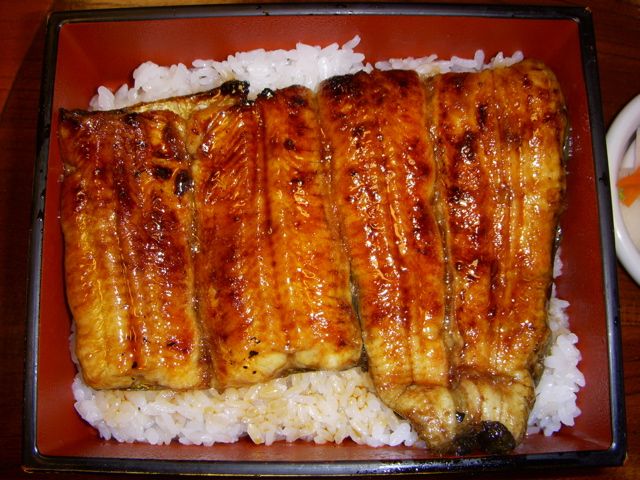 DSCN4131.jpg
