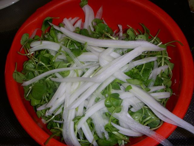 DSCN9668.jpg