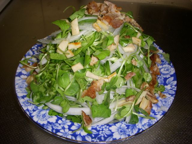 DSCN9669.jpg
