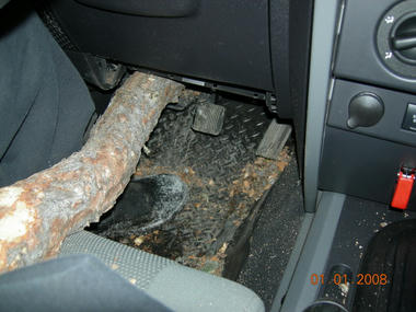 jeep_tree2.jpg