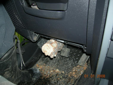jeep_tree3.jpg