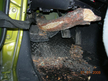 jeep_tree4.jpg