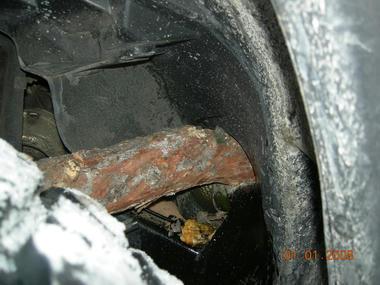 jeep_tree5.jpg