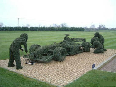F1garden.jpg
