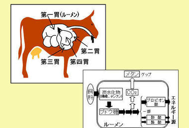 screenshot_08.jpg