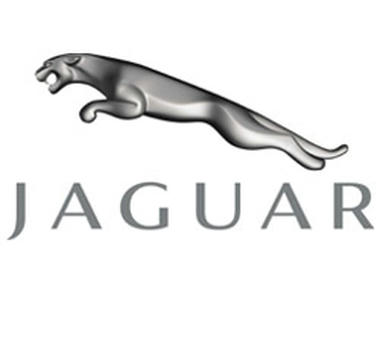 jaguar_2.jpg