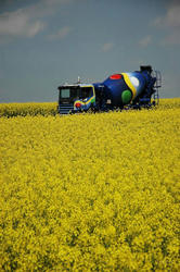colorful-truck-06.jpg