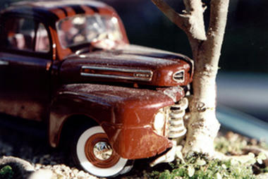 bonsai-01.jpg