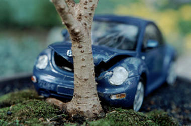 bonsai-04.jpg