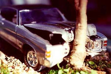 bonsai-07.jpg