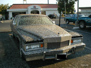 hunhun-03.jpg