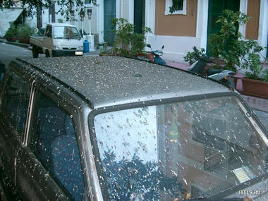 hunhun-06.jpg