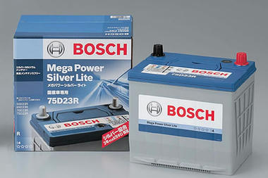 Bosch1.jpg