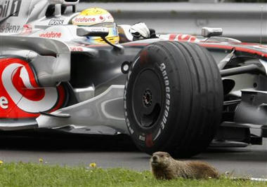 F1-nezumi.jpg