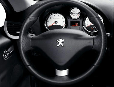 peugeot_207_lemans3.jpg