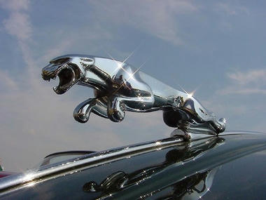 003_jaguar.jpg