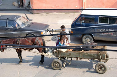 buta-01.jpg