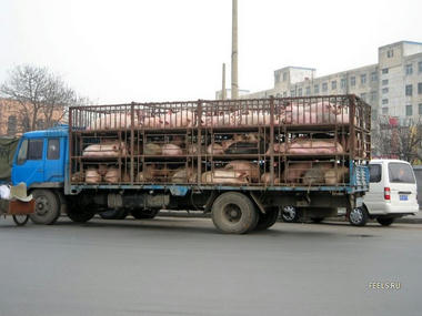 Butatyann-01.jpg