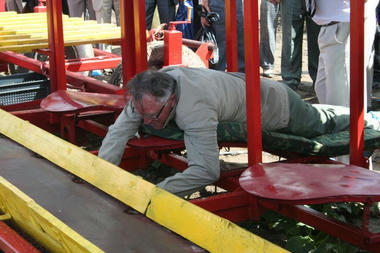 cucumber_pickers05.jpg