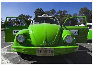 beetle.jpg