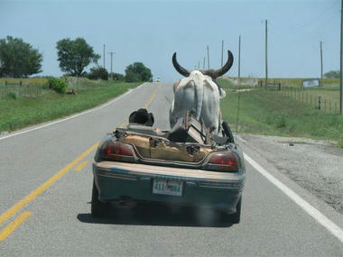 texas_00.jpg