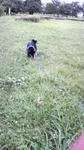 2009071117150000.jpg