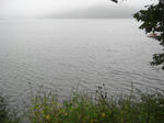 CIMG2305.JPG