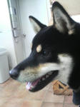 2009100415310000.jpg