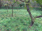 CIMG2515.JPG