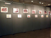 展示の様子