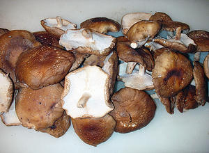 810b34ec.jpg