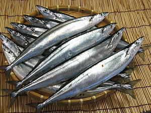 sanma.jpg