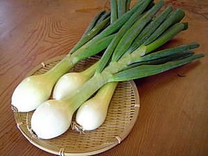 hatamanegi.jpg
