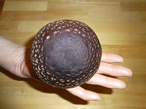 kuroshiitake.jpg