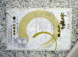 shirasu2.jpg