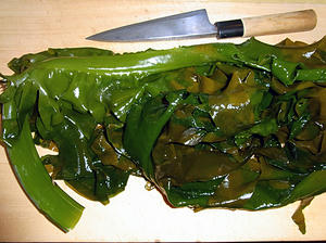 shinwakame.jpg