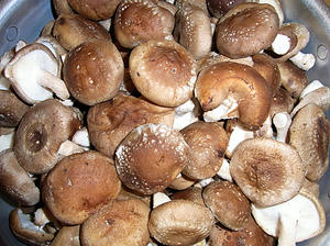 af066d27.jpg