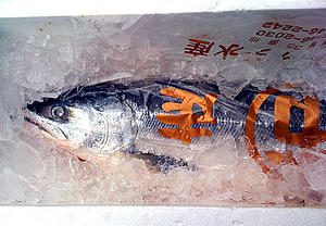d5242229.jpg