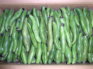 soramame.jpg