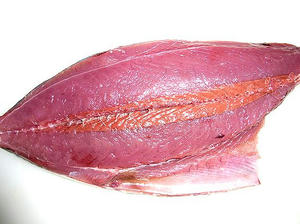 modorikatsuo2.jpg
