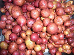 redandes.jpg