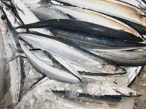 sinsanma.jpg