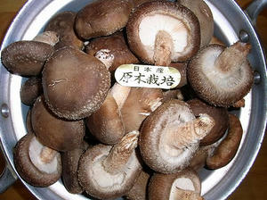 genbokushiitake.jpg