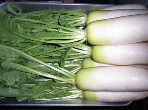 daikon.jpg