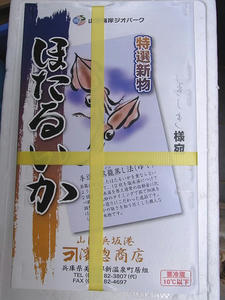 hotaruika.jpg