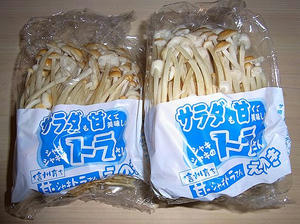 torasan.jpg