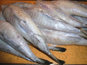 gomafugu.jpg