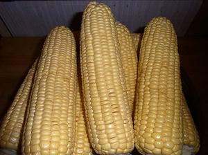 c83f6d37.jpg