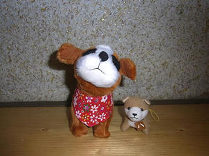 hachiandkacchan.jpg