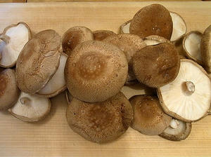 siitake3.jpg